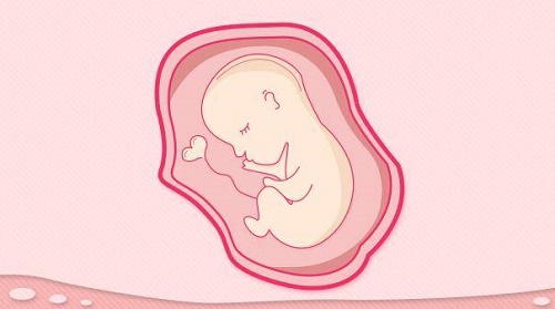 胚胎移植个数是不是越多越好