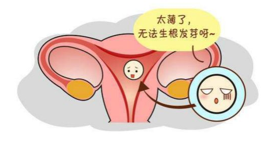 子宫内膜太薄胚胎难以着床