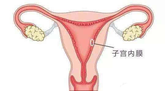 子宫内膜太薄的原因