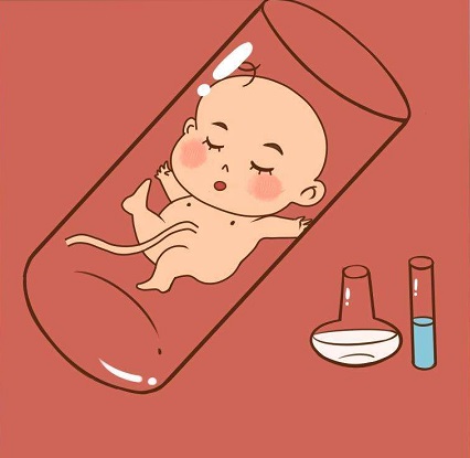 试管婴儿过程中的几个阶段