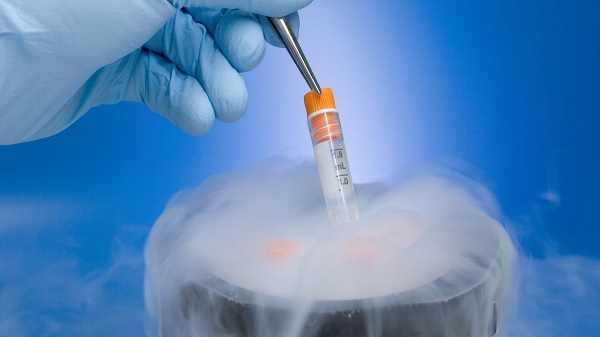 什么是冻胚移植