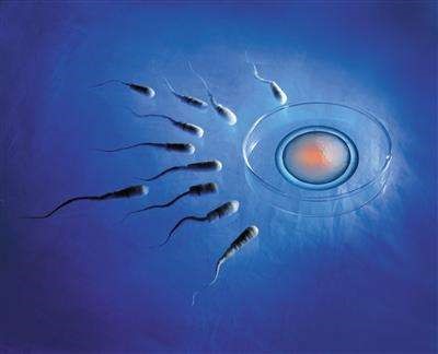 借卵试管婴儿胚胎移植后究竟能不能洗澡？而且会不会影响胚胎的植入？