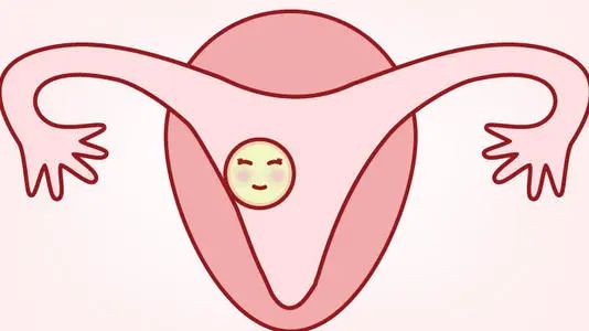 子宫内膜厚度适宜以及血流丰富，是胚胎是否会在此成功着床的关键