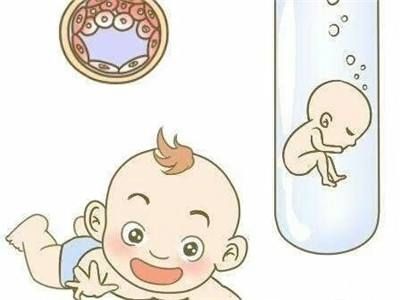 试管婴儿|体外受精-胚胎移植技术
