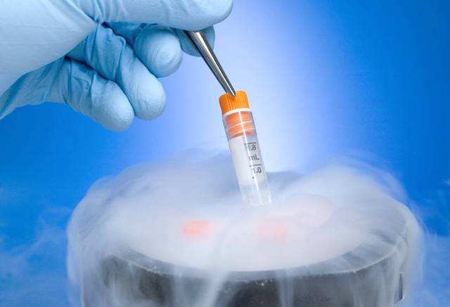 试管婴儿胚胎什么时候才能复苏移植?复苏移植的方案有哪些？