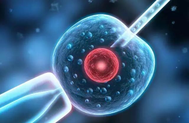胚胎移植的注意事项有哪些