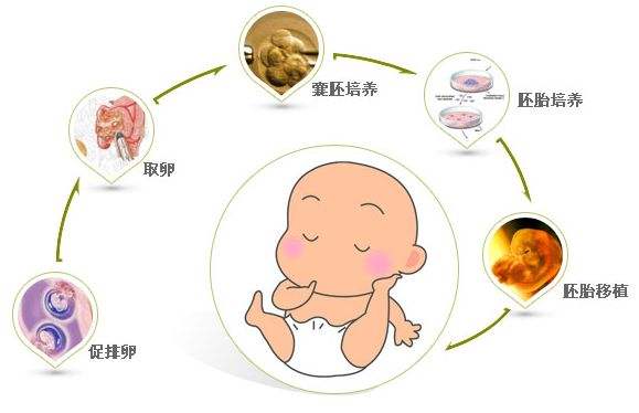 广州多囊卵巢综合症做国内试管代怀违法吗的几率多大