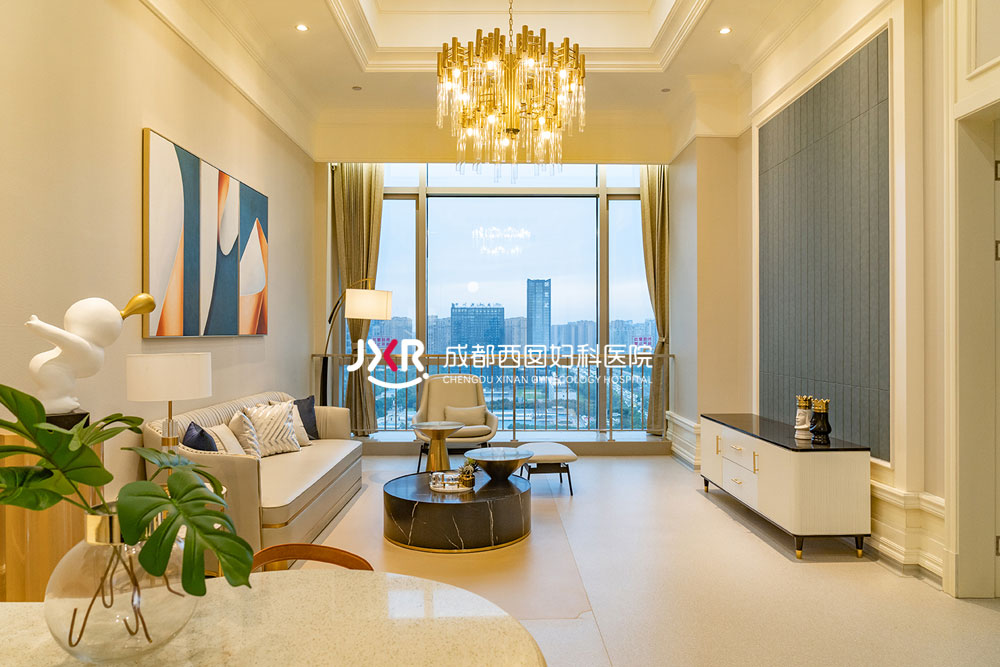 VIP生殖中心环境