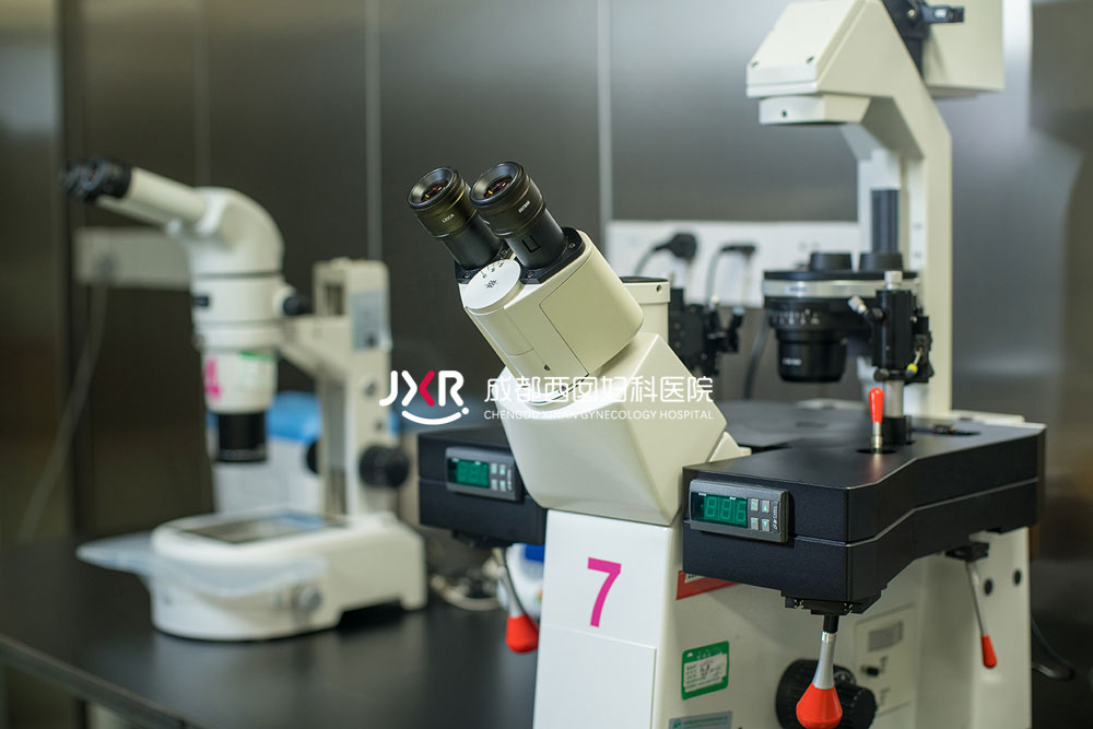 胚胎实验室环境