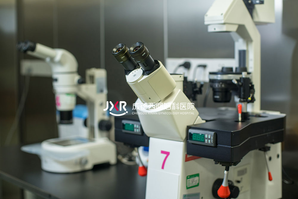 胚胎实验室环境