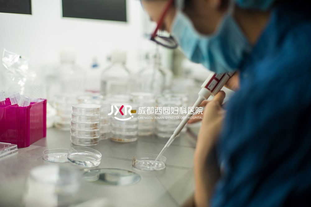 胚胎实验室环境