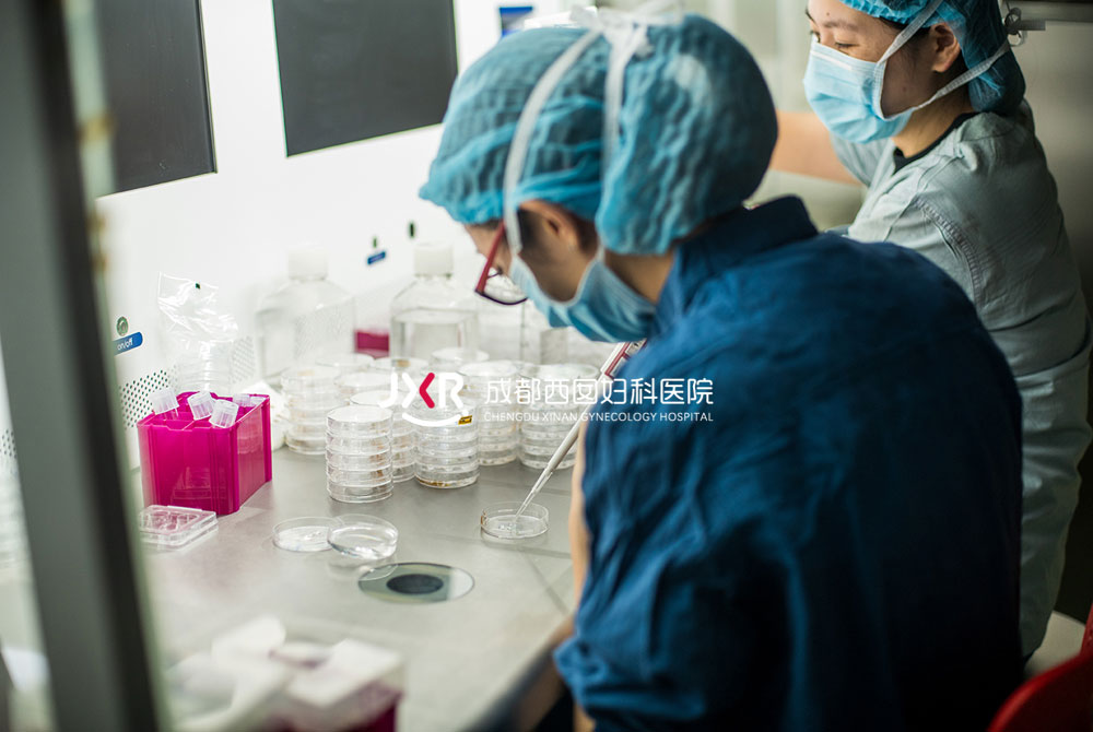 胚胎实验室环境