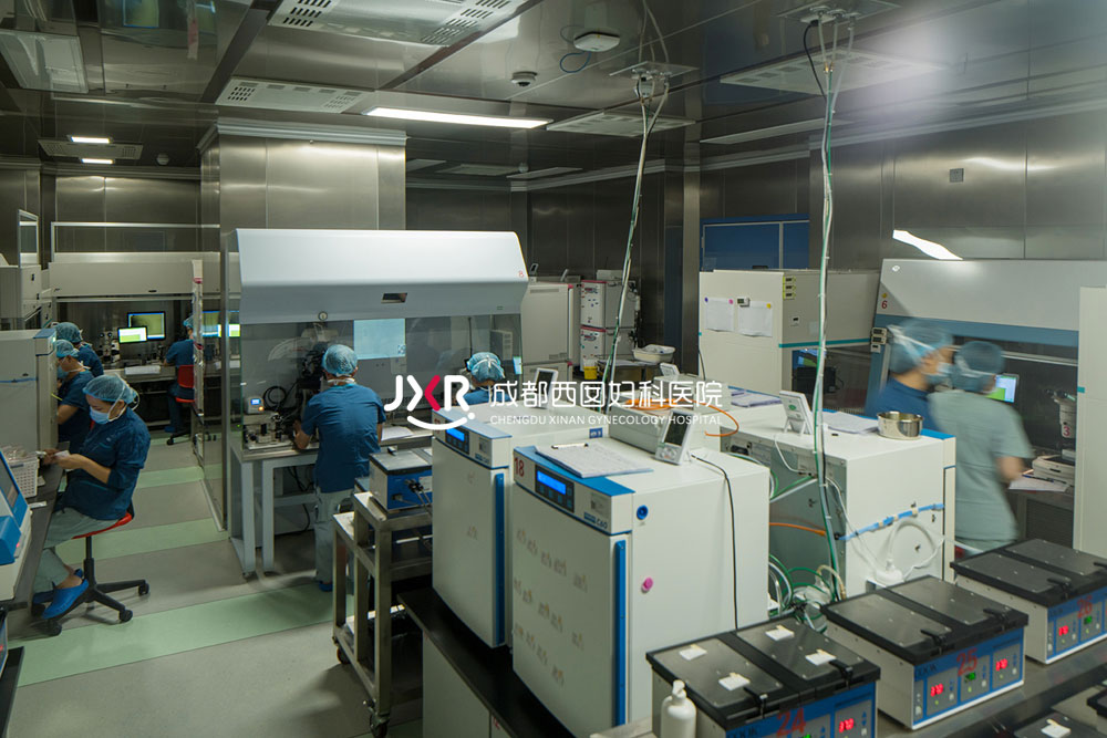 胚胎实验室环境