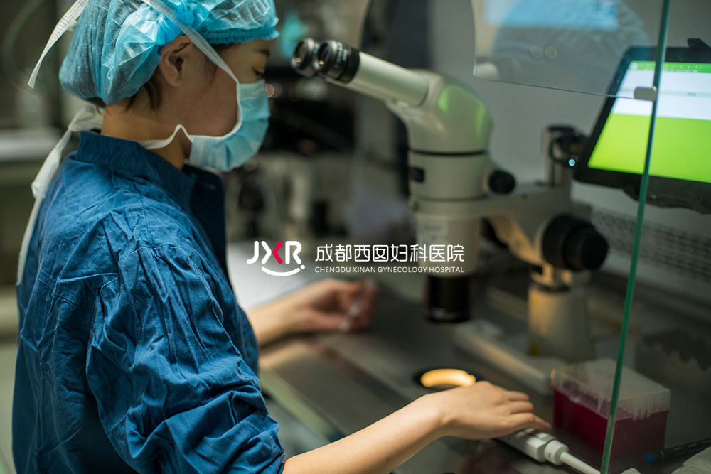 胚胎实验室环境