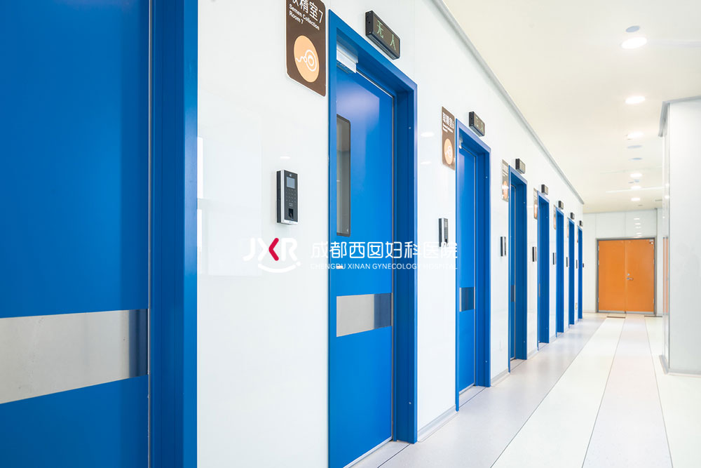 胚胎实验室环境