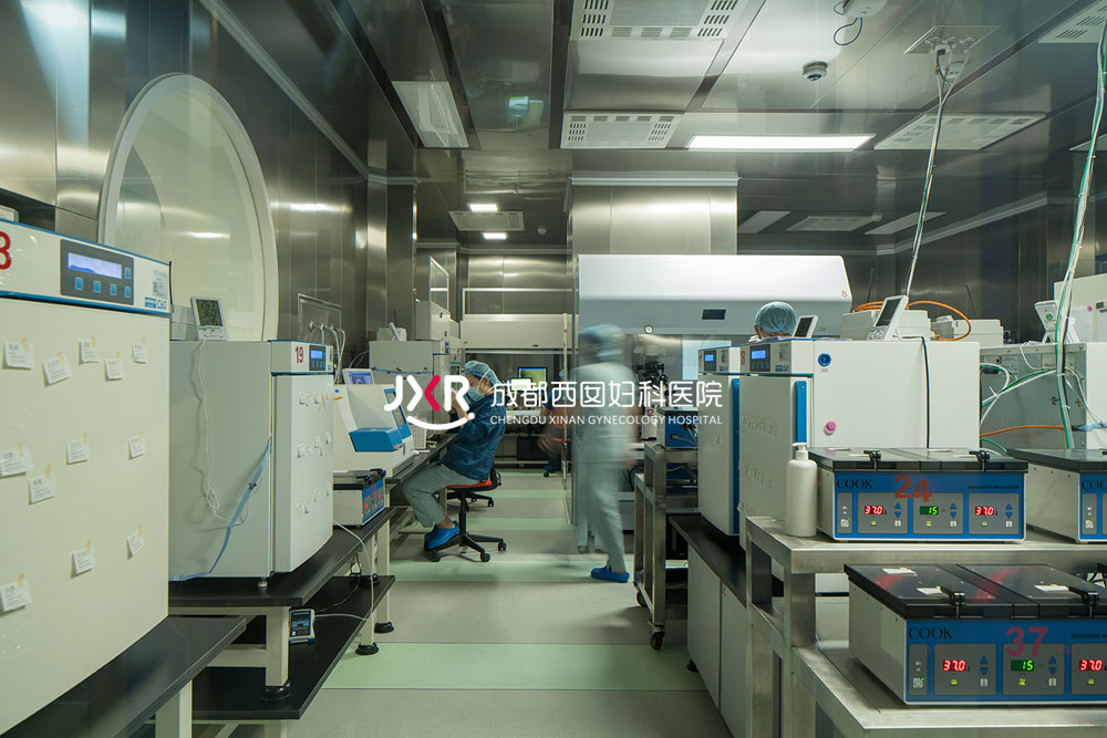 胚胎实验室环境