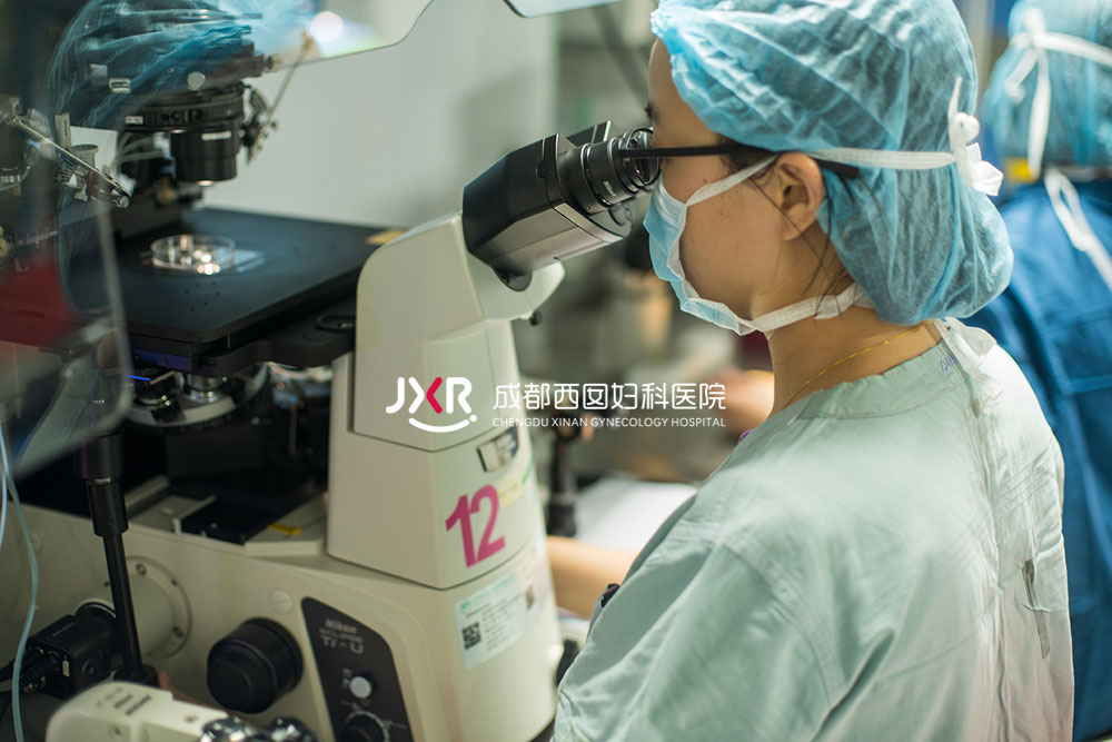 胚胎实验室环境