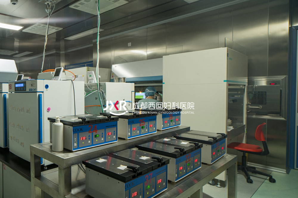 胚胎实验室环境