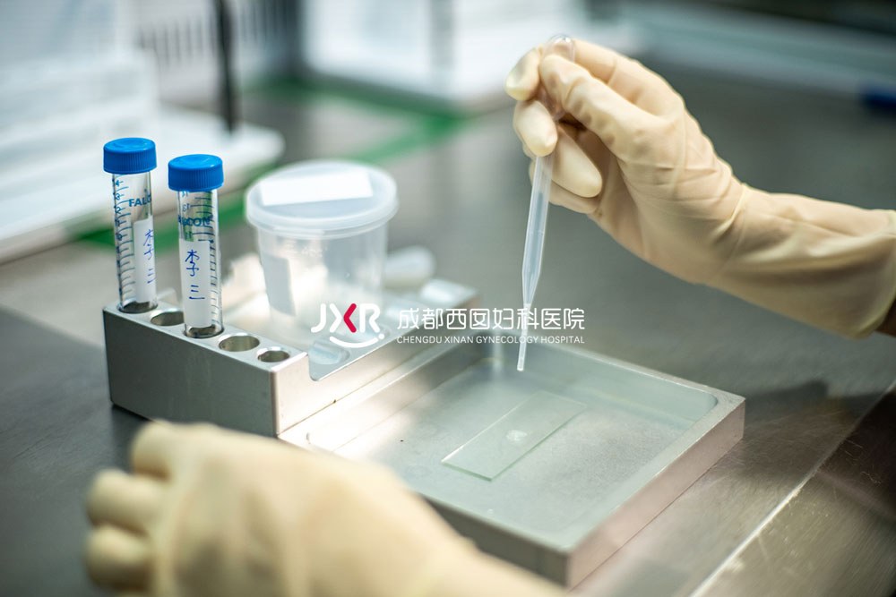 胚胎实验室环境