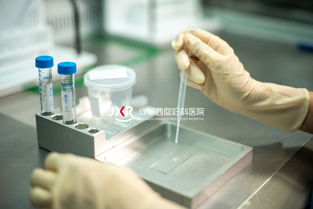 胚胎实验室环境