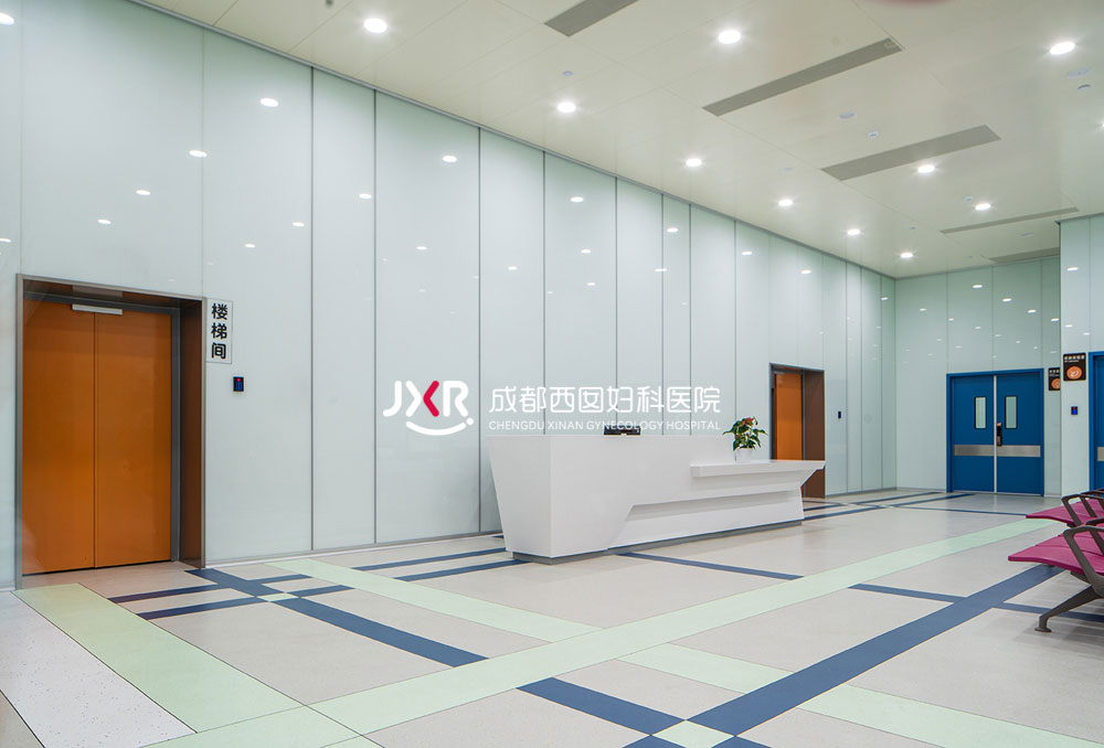 胚胎实验室环境