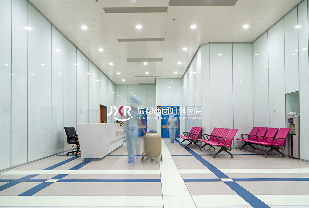 胚胎实验室环境