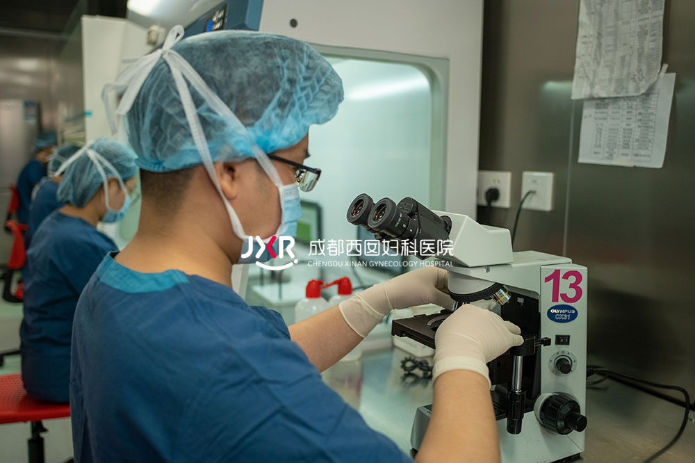 胚胎实验室环境