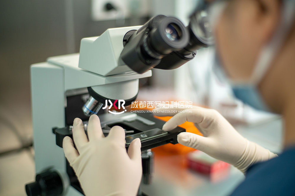 胚胎实验室环境