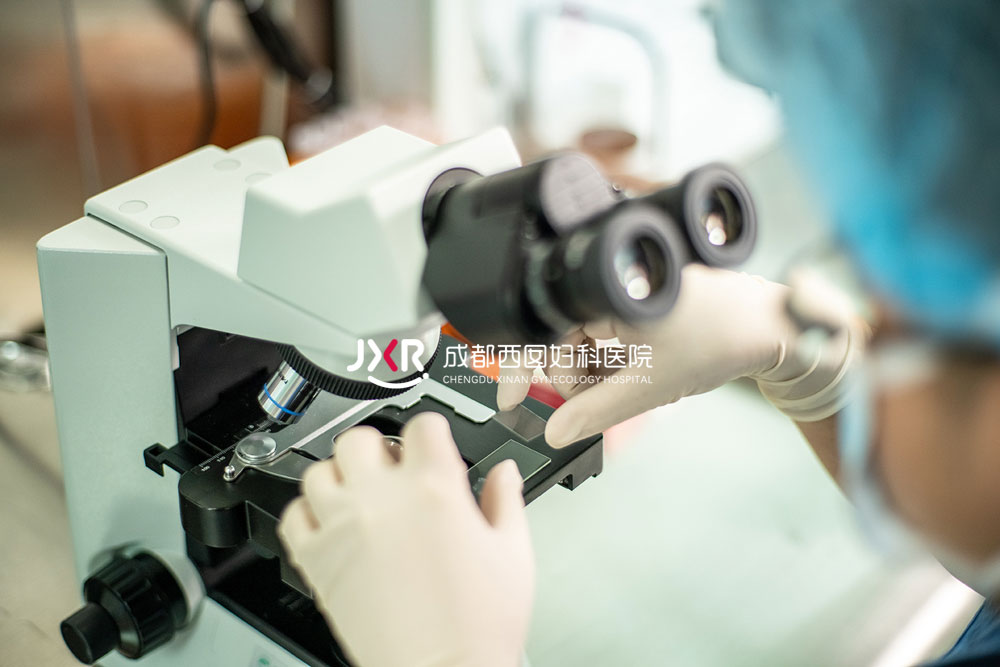 胚胎实验室环境