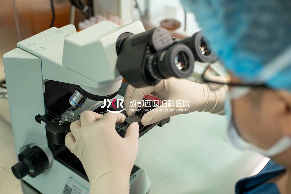 胚胎实验室环境