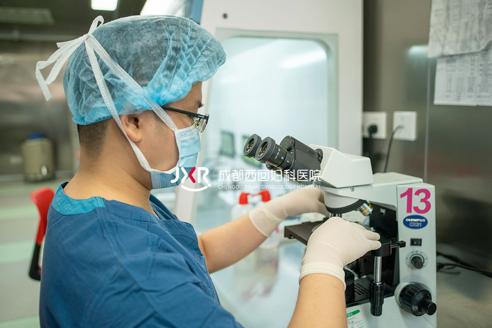 胚胎实验室环境