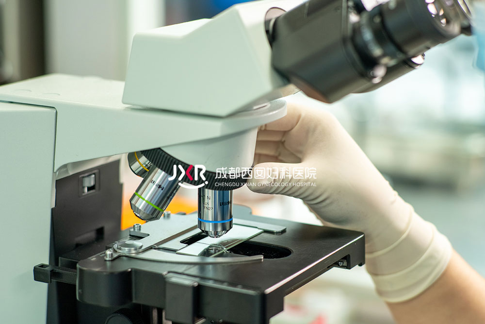 胚胎实验室环境