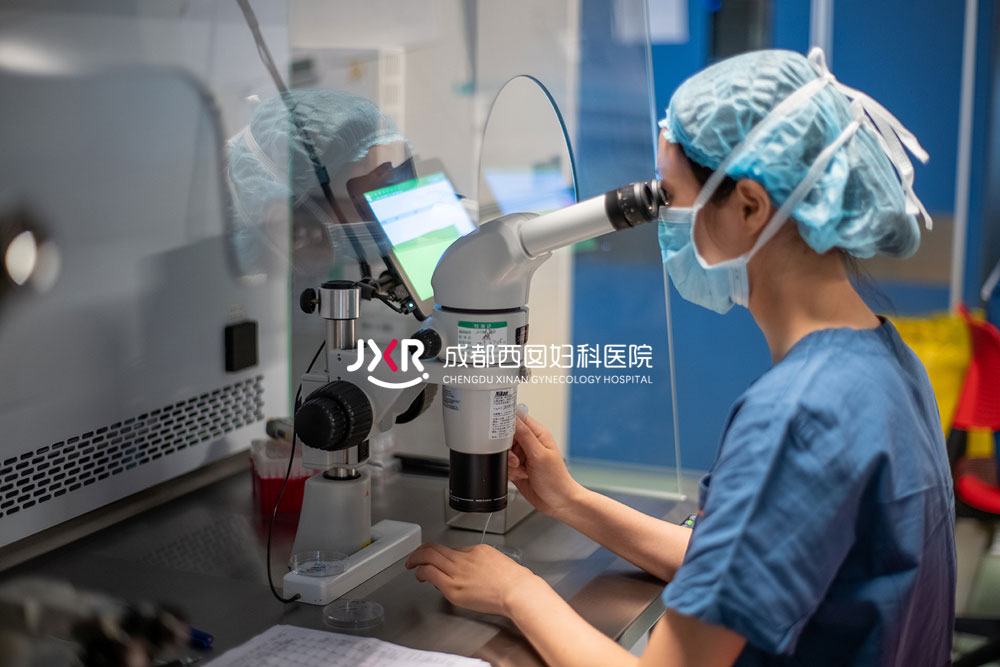 胚胎实验室环境