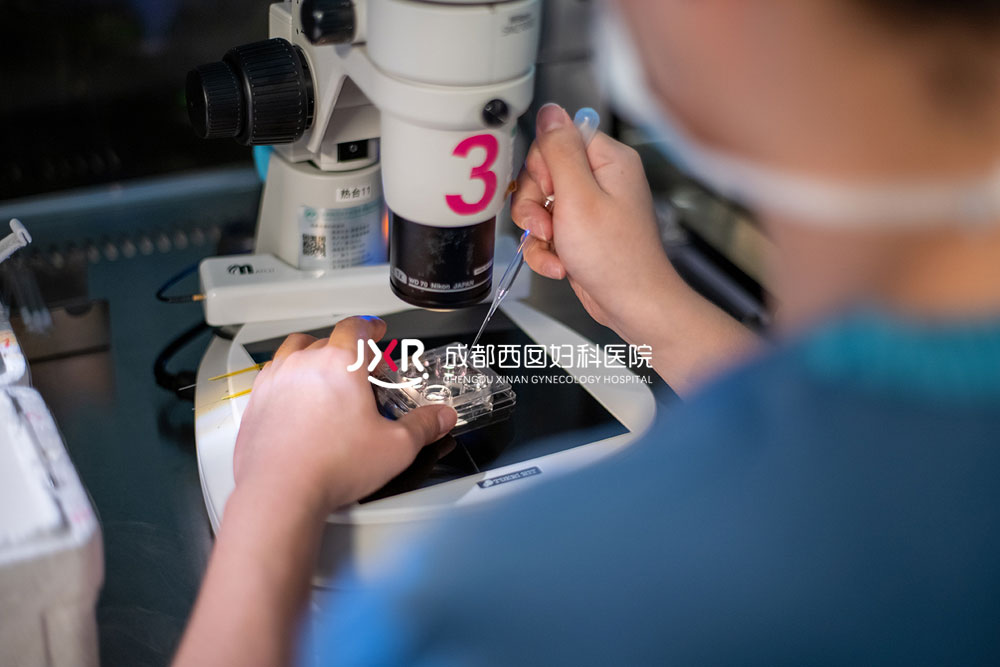 胚胎实验室环境