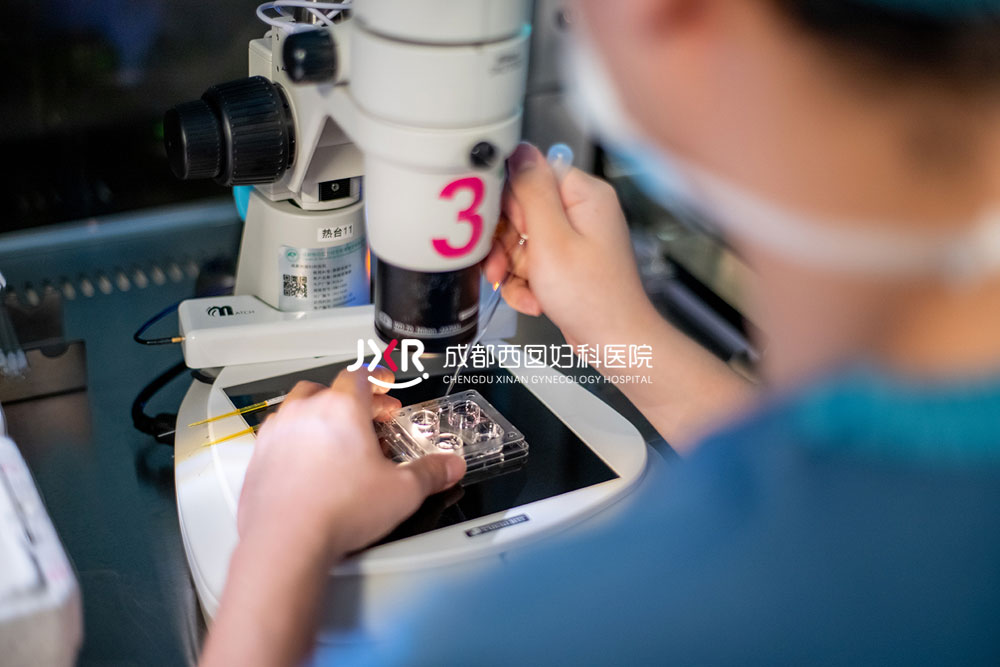 胚胎实验室环境