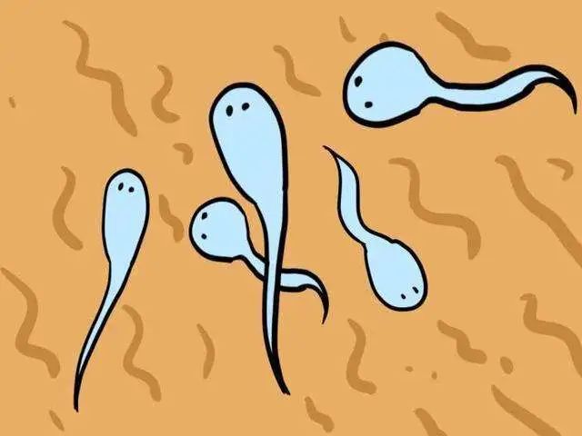 如何改善精子质量，提高受孕机会？