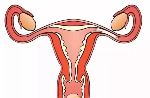遇到输卵管堵塞，是自然怀孕 or 做试管呢？