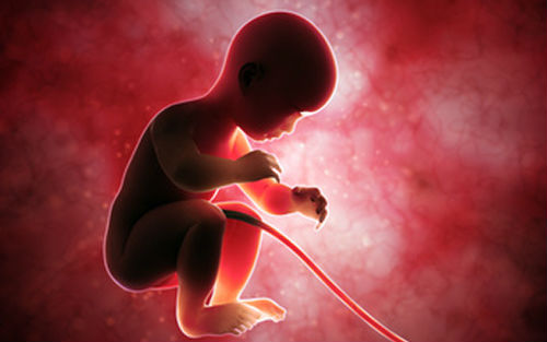 好孕分享｜普通胚胎真的不容易着床吗？