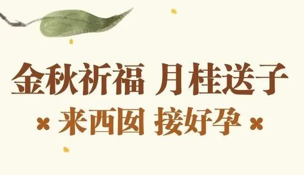 定了！这6个关于试管的好消息今天开始！