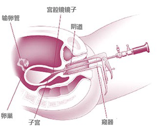 图片16.png