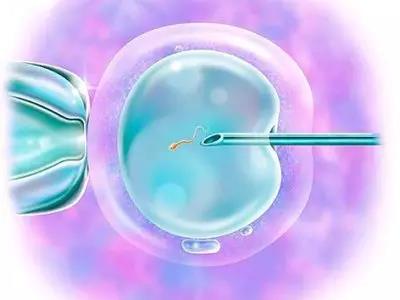 卵胞质内单精子显微注射(ICSI)