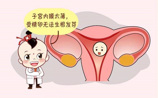 子宫内膜太薄怎么办