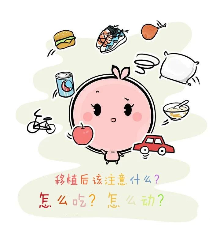 移植后应该注意些什么,怎么吃,怎么动