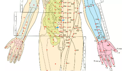 妇科对应的经络图图片