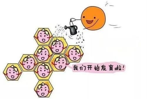 试管婴儿:促排卵