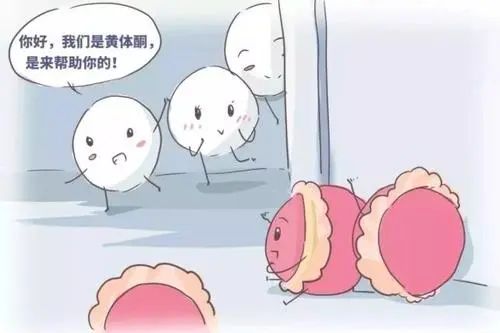 试管婴儿:黄体支持