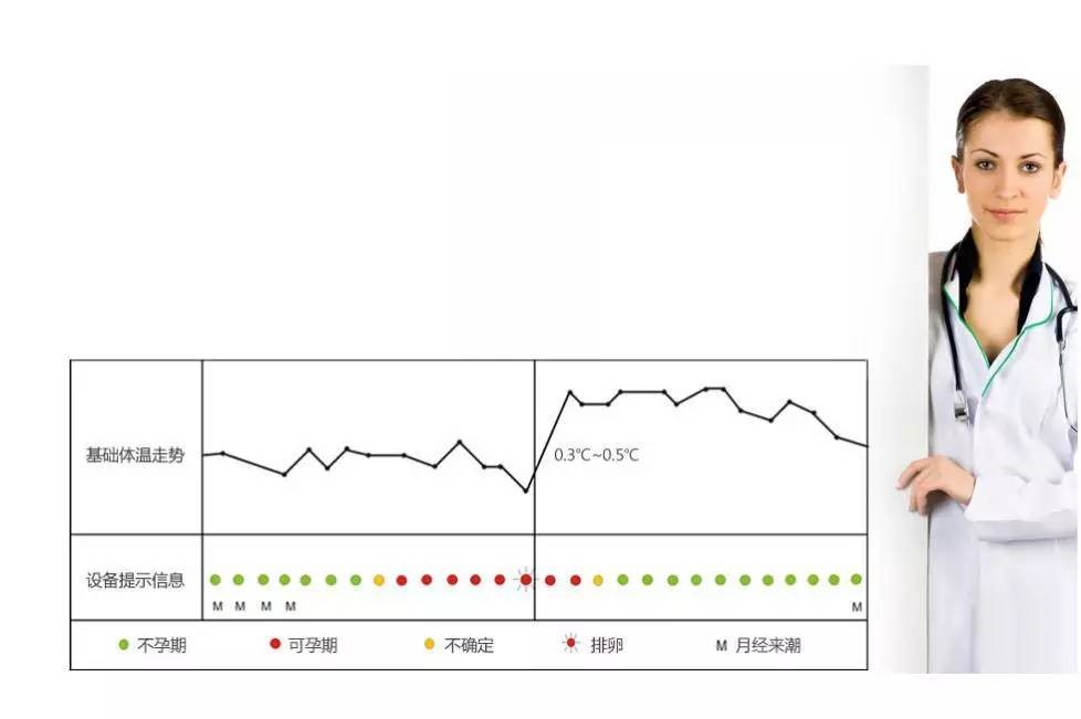 基础体温测量法推算排卵期