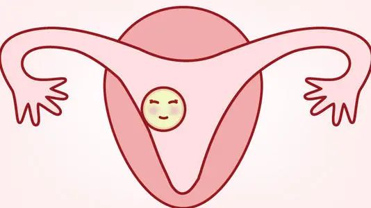 移植前，如何让薄的子宫内膜长起来? 