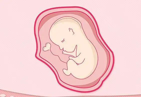 取卵后第3-5天，胚胎宝宝和妈妈见面啦……