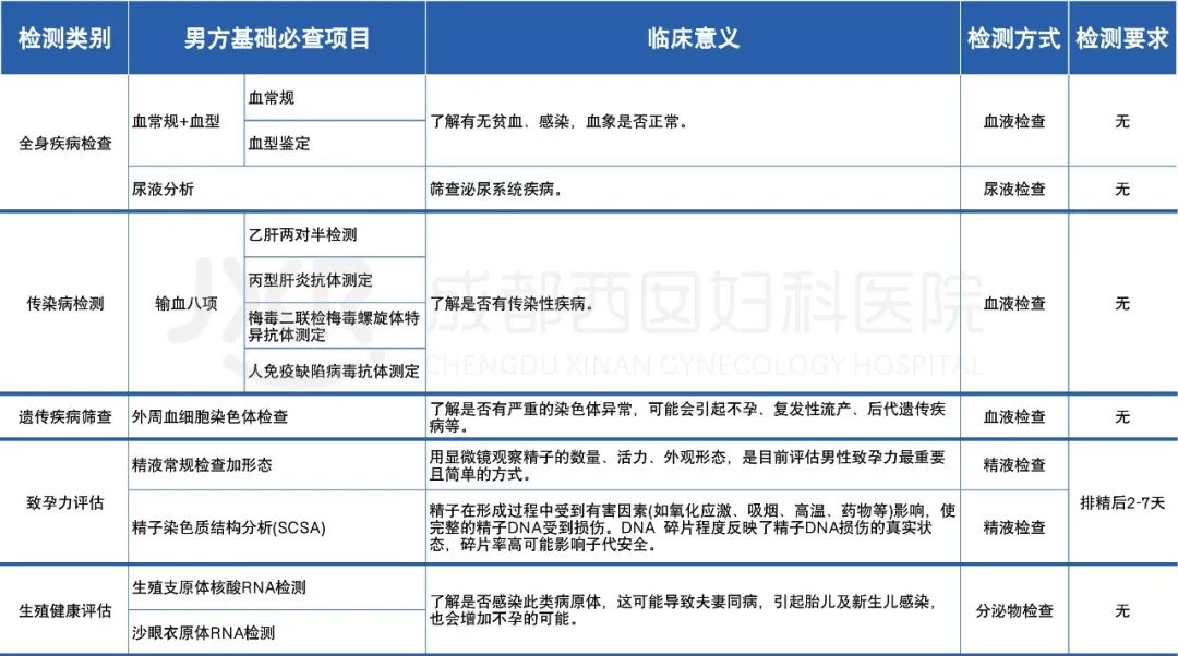 男方基础必查项目